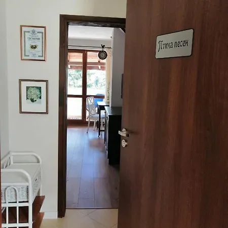 студио 