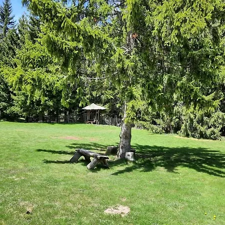 Lägenhet студио 