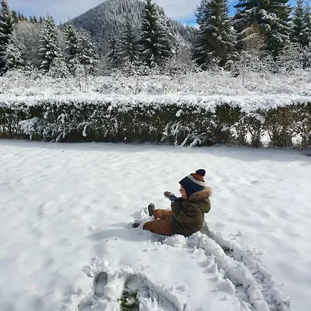 Lägenhet студио 