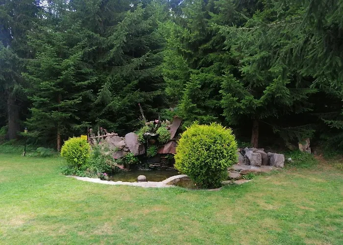 студио птича песен - Birdsong, смолянски езера *