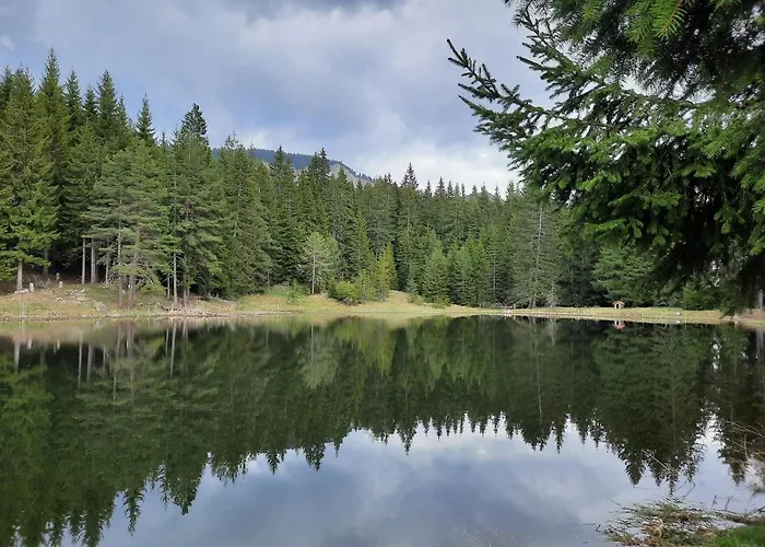 студио птича песен - Birdsong, смолянски езера