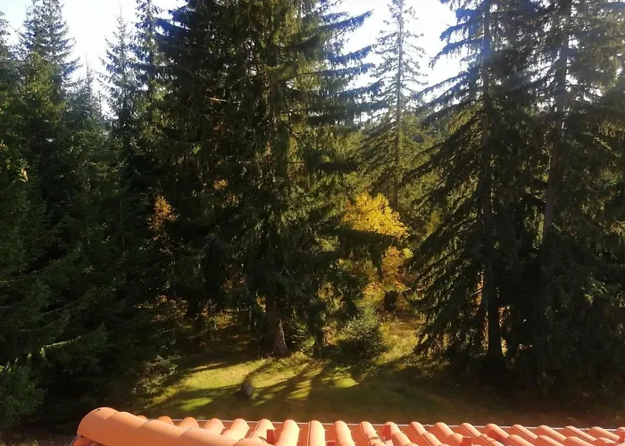 студио птича песен - Birdsong, смолянски езера *