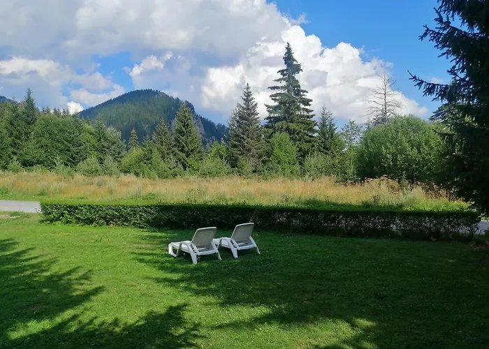 דירה студио 