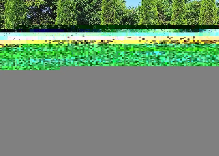 студио птича песен - Birdsong, смолянски езера Апартаменты *