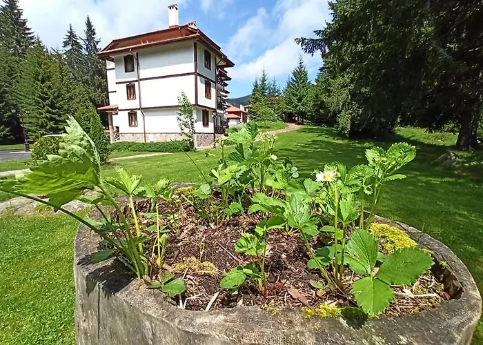 студио птича песен - Birdsong, смолянски езера Смолян