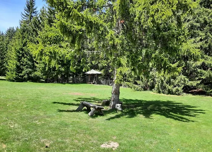 Апартаменты студио птича песен - Birdsong, смолянски езера