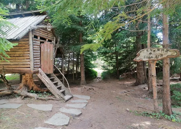 студио птича песен - Birdsong, смолянски езера *