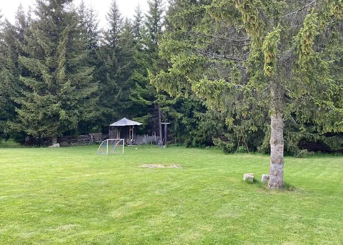 студио птича песен - Birdsong, смолянски езера *