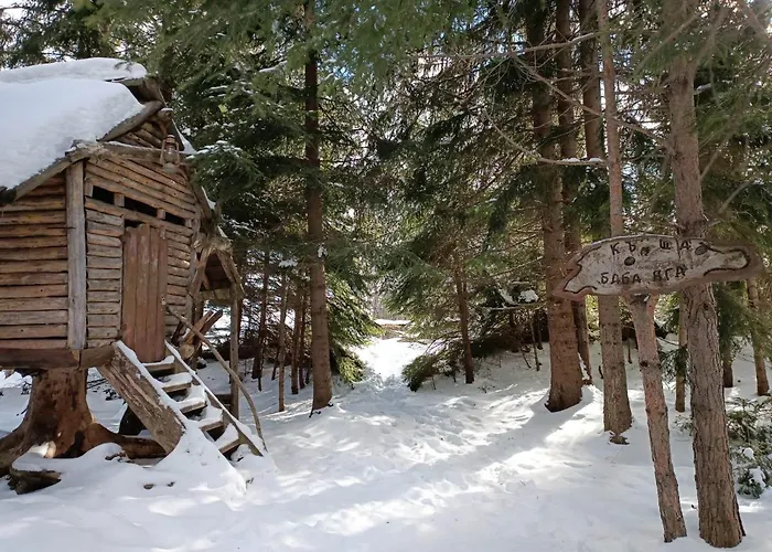 студио птича песен - Birdsong, смолянски езера Смолян