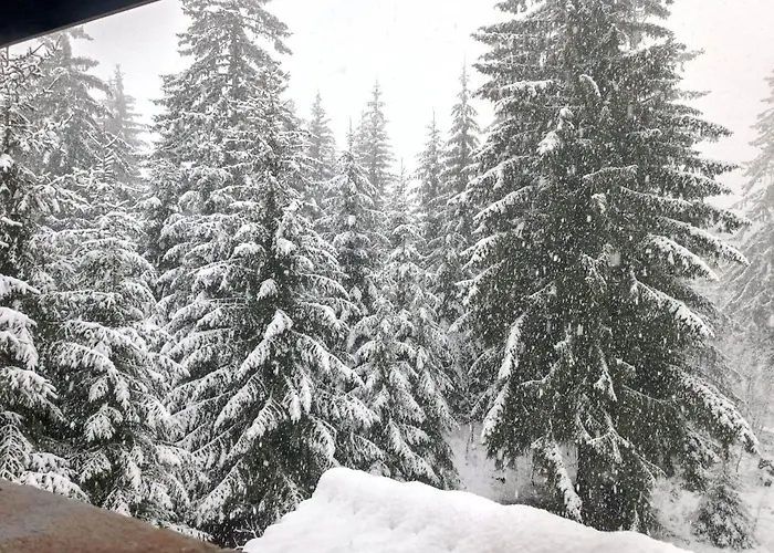 студио птича песен - Birdsong, смолянски езера Апартаменты Смолян