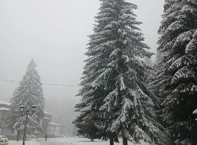 студио птича песен - Birdsong, смолянски езера